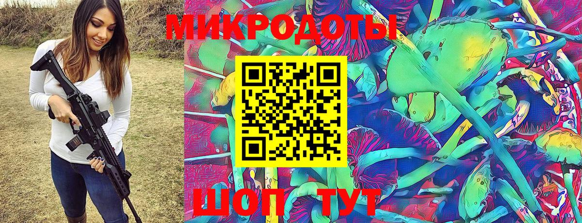 Псилоцибиновые грибы Psilocybine cubensis Торжок